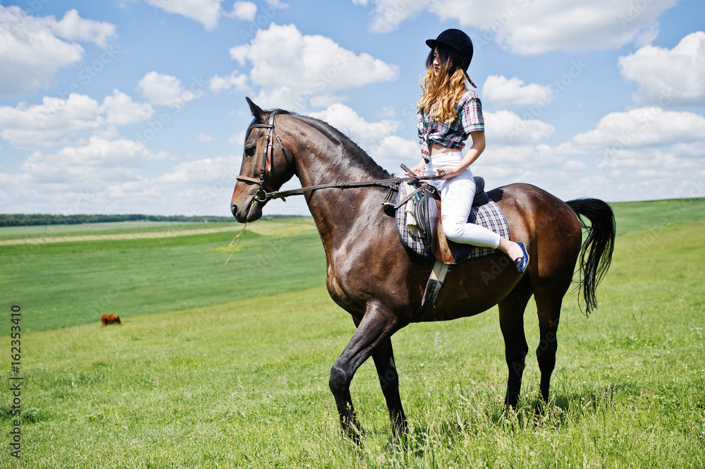 Young pretty girl riding a horse on a field at sunny day. Young pretty girl riding a horse on a field at sunny day.