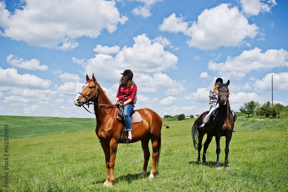 Tow young pretty girls riding a horses on a field at sunny day Tow young pretty girls riding a horses on a field at sunny day
