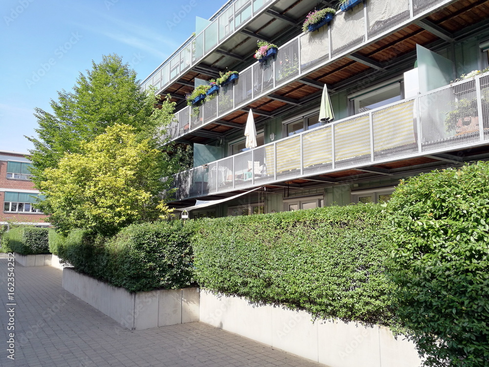 Grüne Hecke mit in einer restaurierten Wohnanlage im Sommer