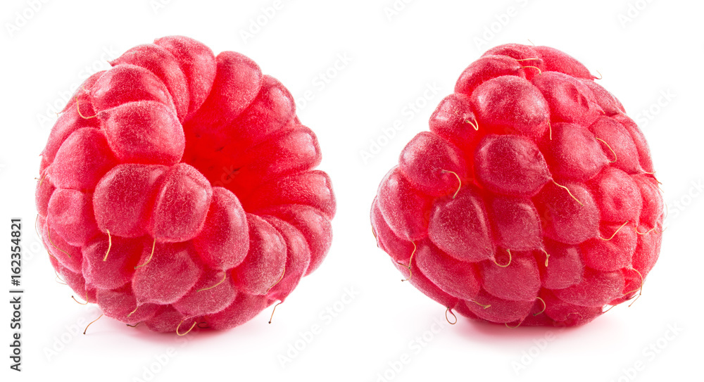 Raspberry. Raspberry isolated on white. Collection. Raspberry. Raspberry isolated on white. Collection.