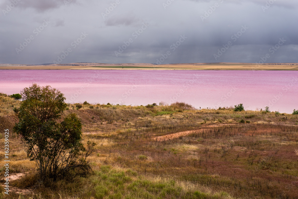 Pink Salt Lake