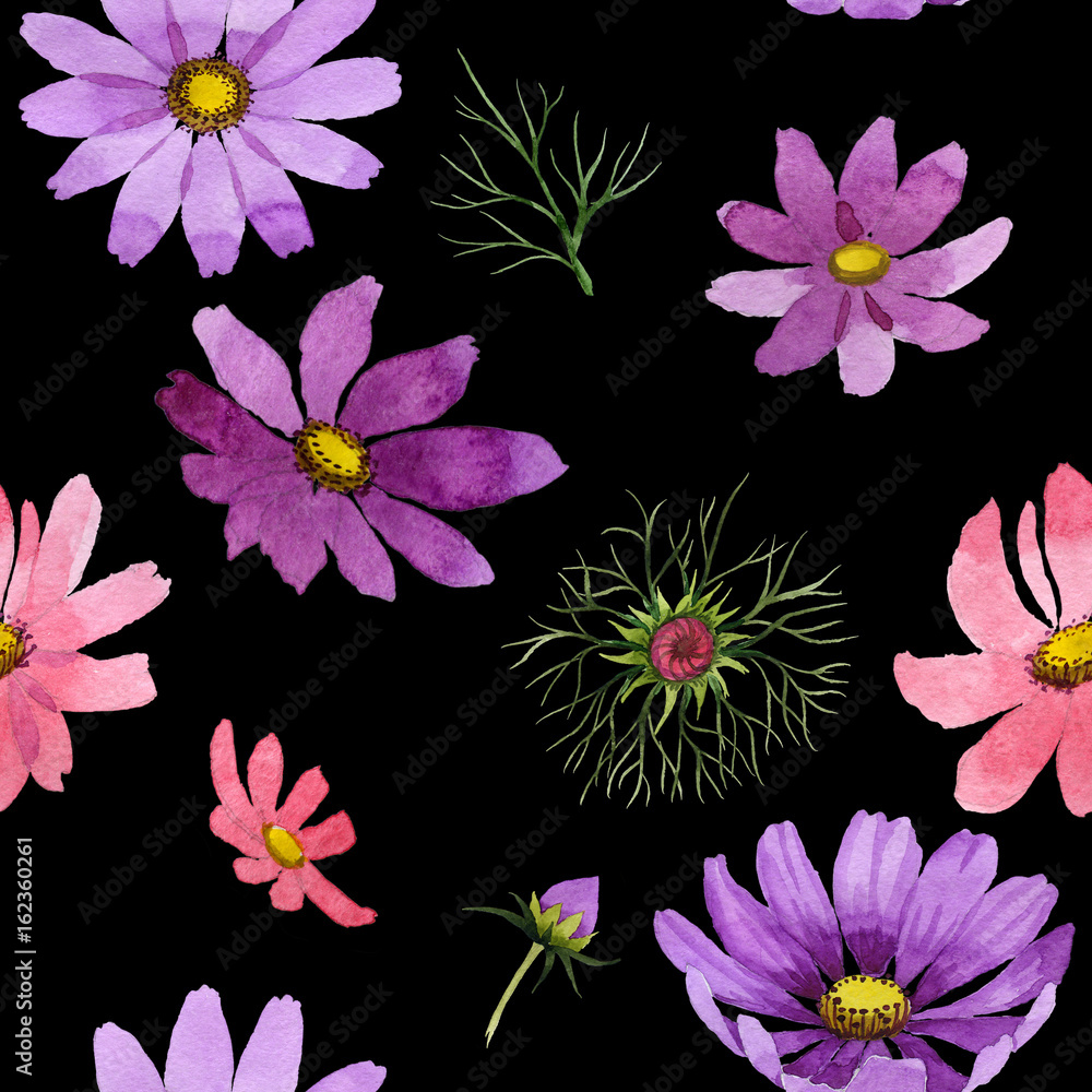 Wildflower kosmeya flower pattern in a watercolor style isolated. Wildflower kosmeya flower pattern in a watercolor style isolated.