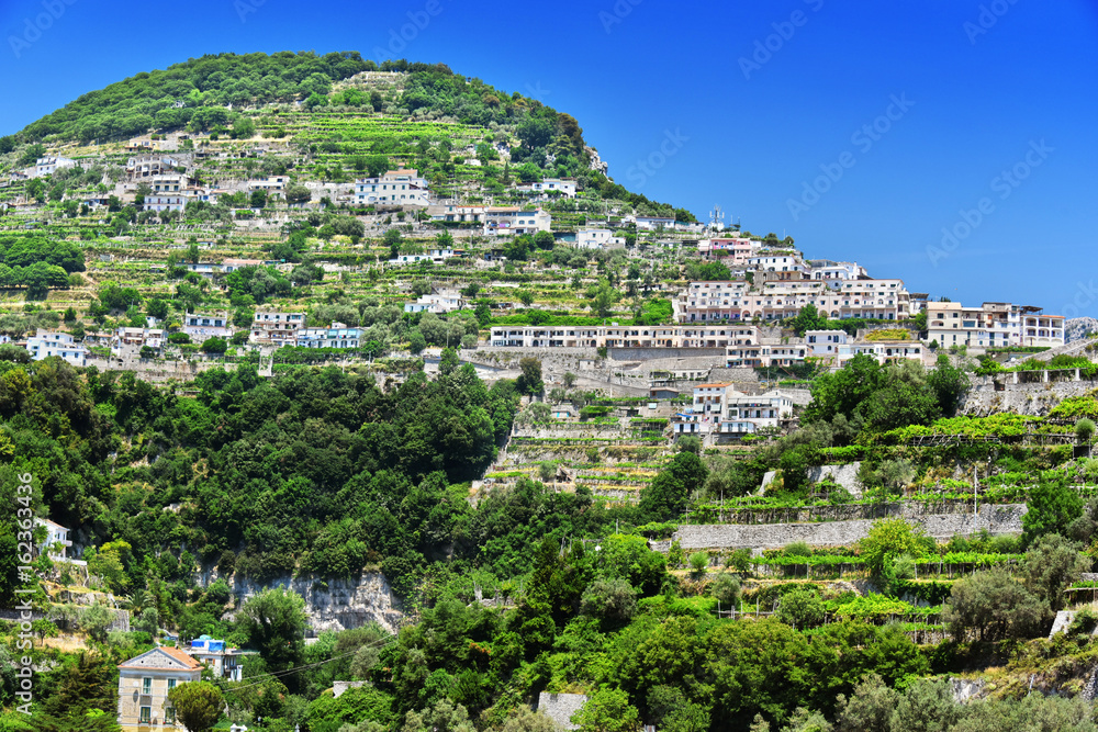 Citrus plantations on the hills of Amalfi, Italy