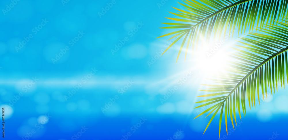 Hintergrund Sonne Meer Palmen
