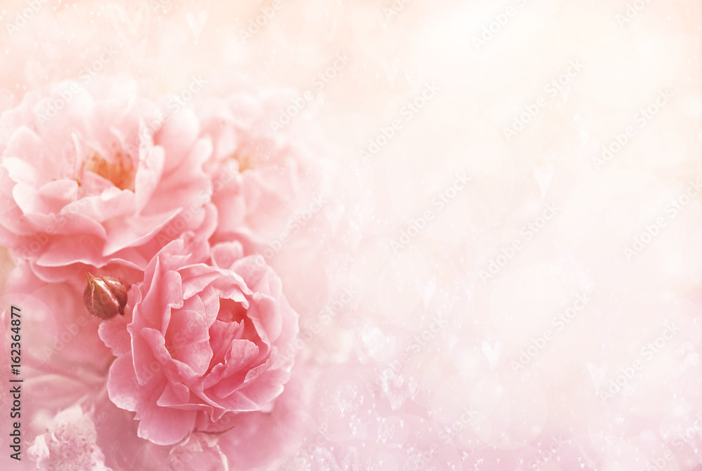 Summer blossoming roses, flower bokeh background, pastel and soft vintage floral card - obrazy, fototapety, plakaty 