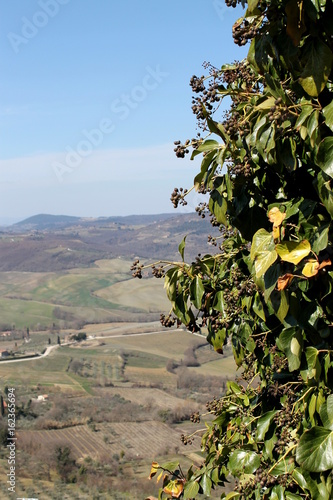view of the town