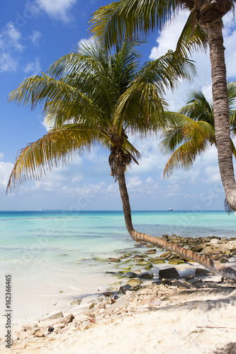 Tropical paradise image. Palm tree on a white sand beach with turquoise waters of the Caribbean sea. Vertical image.