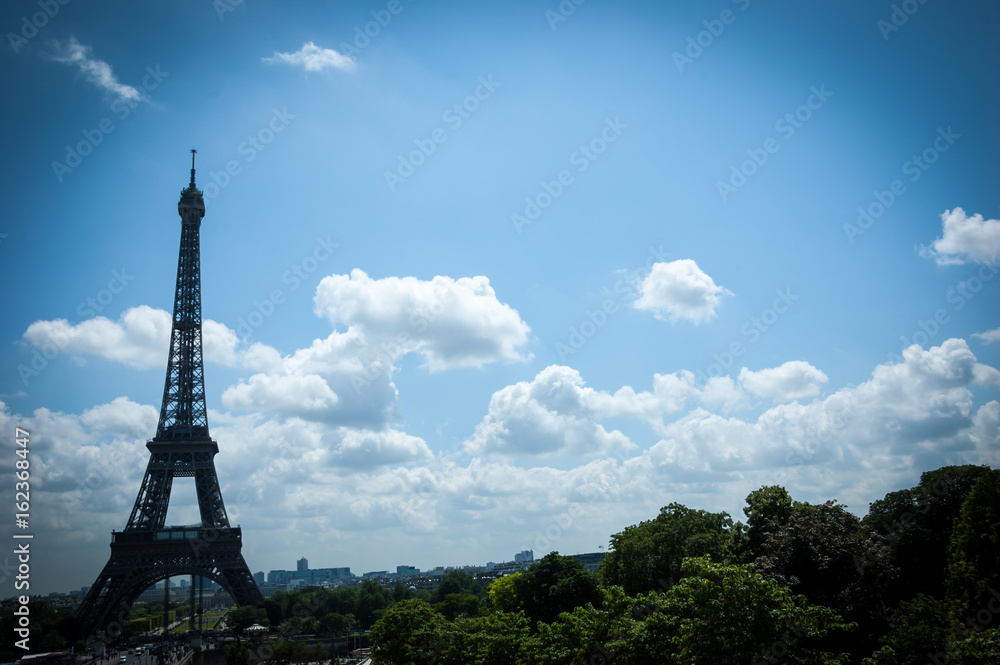 Eiffel tower and landscape. Vignette.