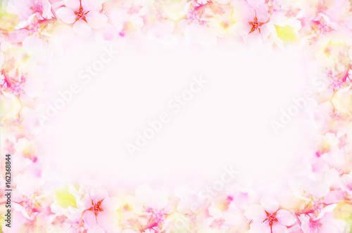 Spring blossom springtime cherry bloom frame  toned  bokeh flower background  pastel and soft floral card