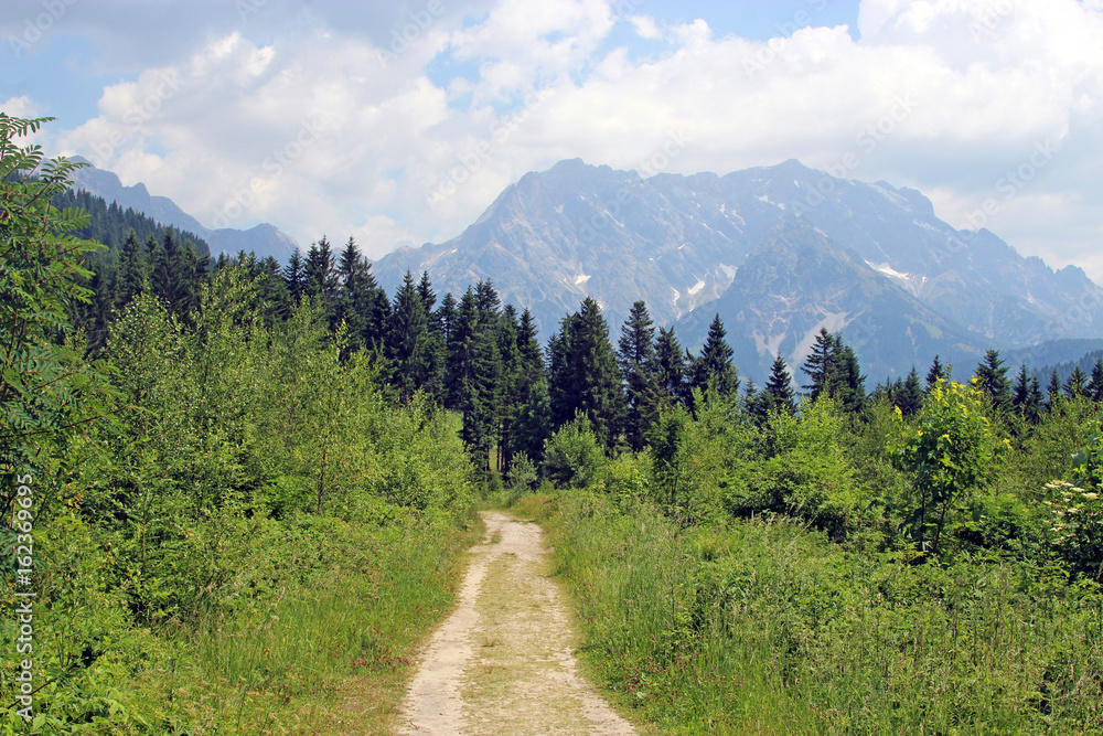 hiking path in the Austrian mountains