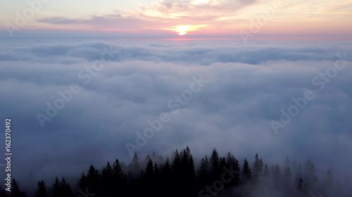 Aerial view flying backward over the forest covered in morning mist and clouds photo