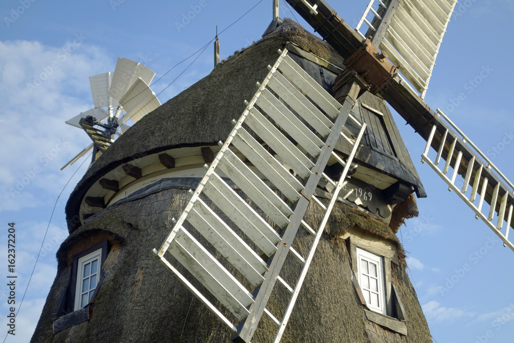 Holländerwindmühle in Mecklenburg Stock-Foto | Adobe Stock