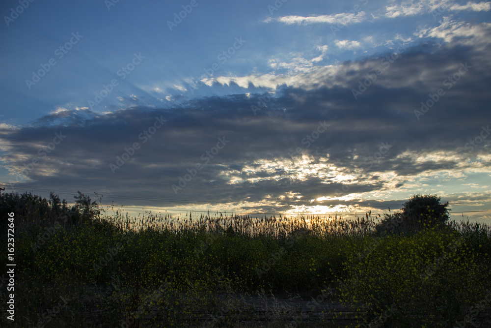 Obraz premium Sunset