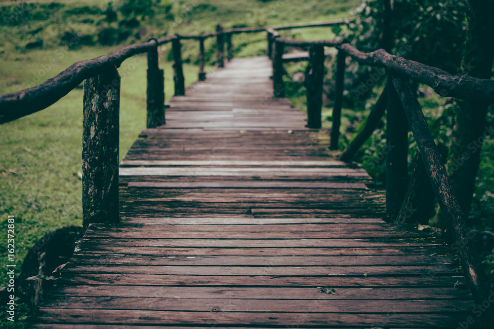 Fototapeta premium The walkway is a wooden bridge.Wood bridge