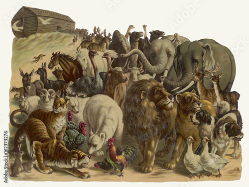 Photos Bible - Old Testament - Noah's Ark