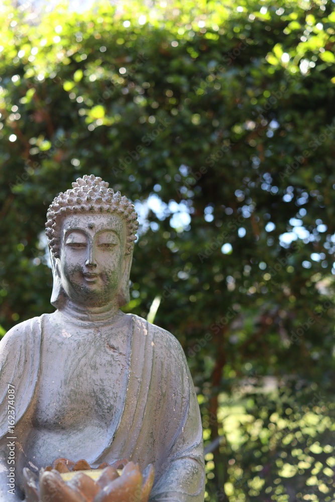 Buddah shows peaceful smile in green background