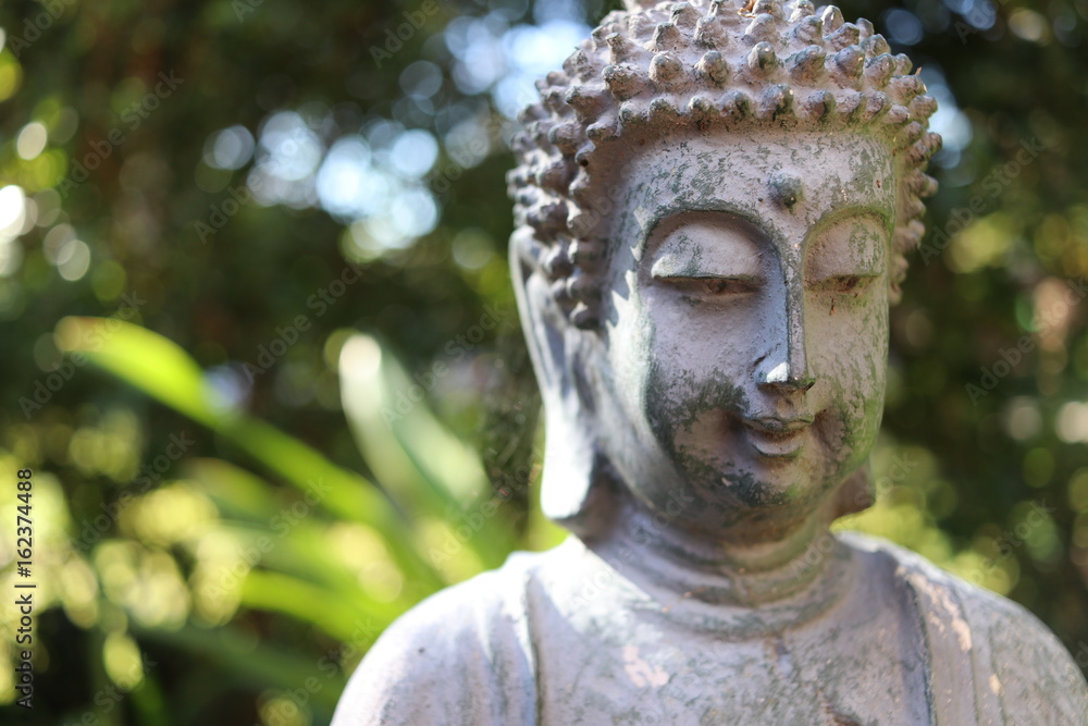 Buddah shows peaceful smile in green background