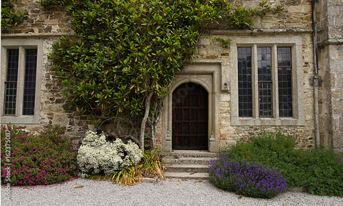 Old buildings back door surrounded by plants