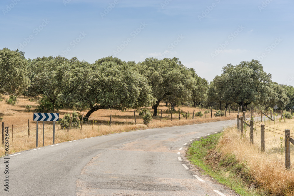 A country road of Avila, Spain