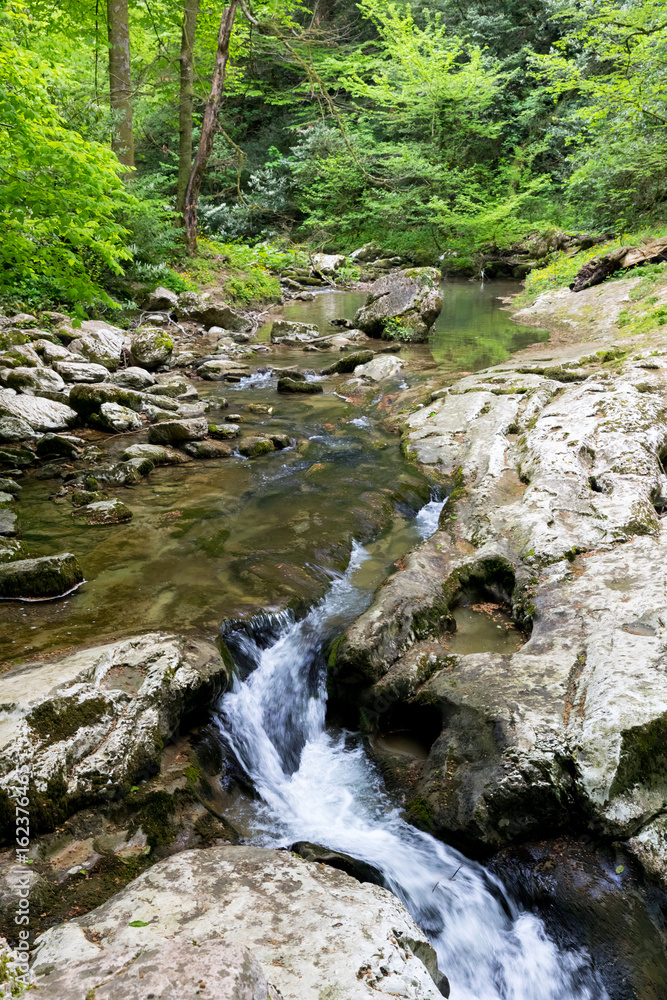 Mountain river waterfall in green forest