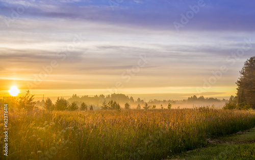 Fields at sunset or sunrise with dramatic blue sky and golden sun color near Tallinn  Estonia