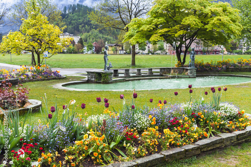 Flowers in central public park of Interlaken
