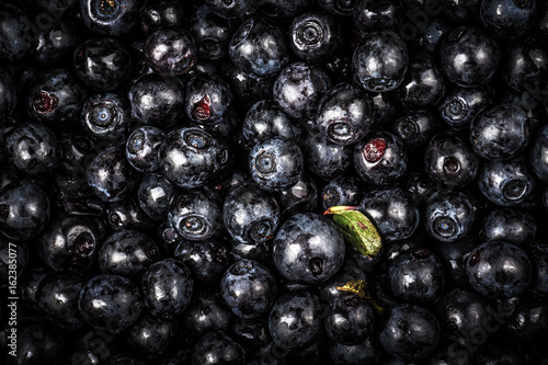 Blueberries collected manually. Natural background. Toned