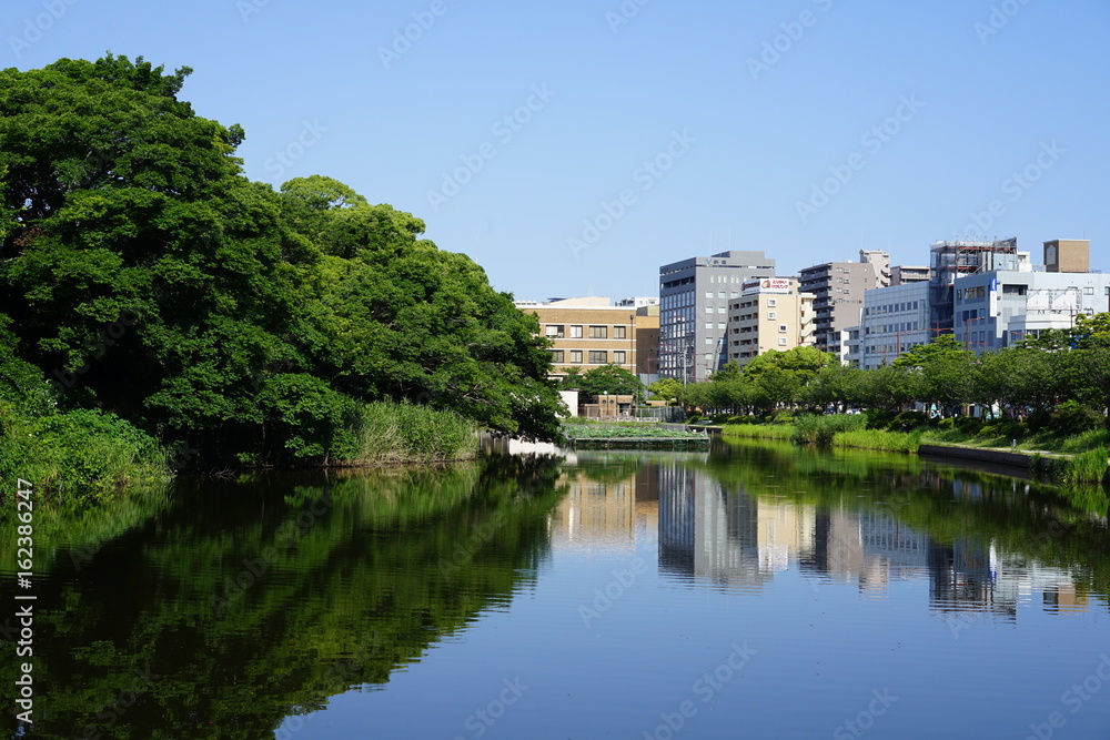 福岡城跡舞鶴公園お堀の景色