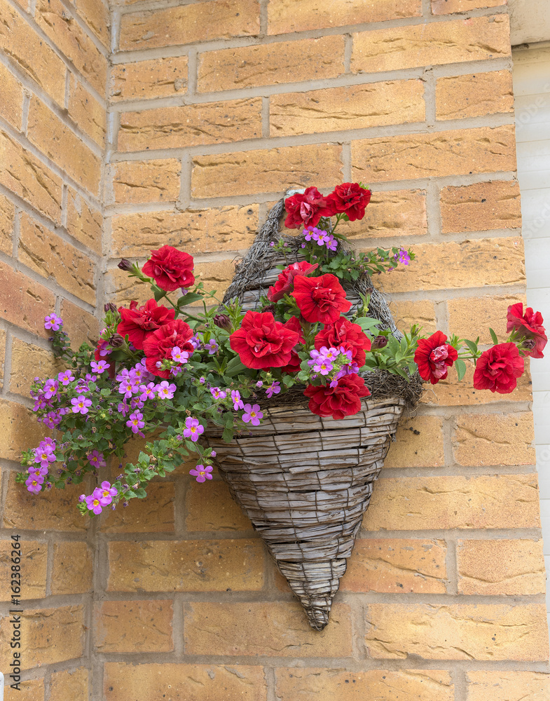Hanging basket with range of red and pink petunia.