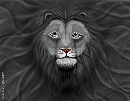 black Lion head with a wavy mane of filling a background 