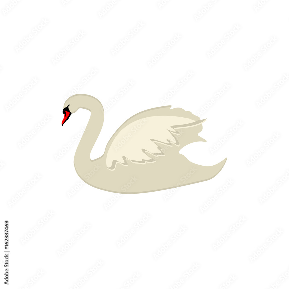 Obraz premium White swan vector