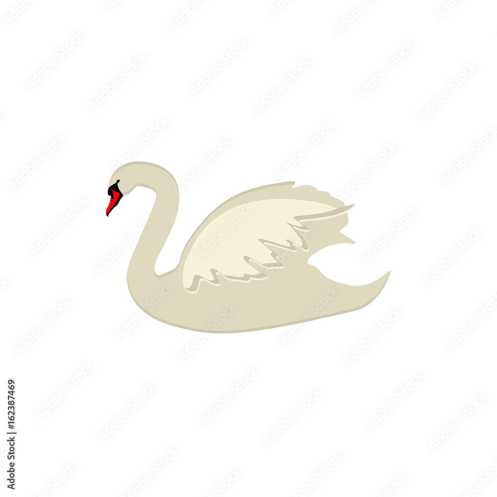 Fototapeta premium White swan vector