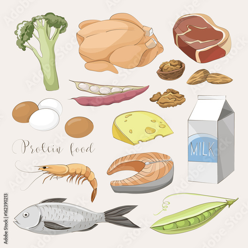 Best protein food icons