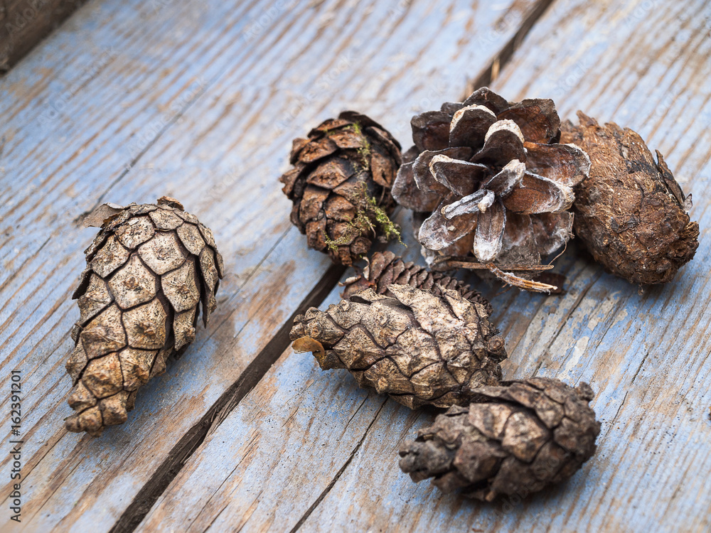 Fototapeta premium FIR cones on an old wooden table