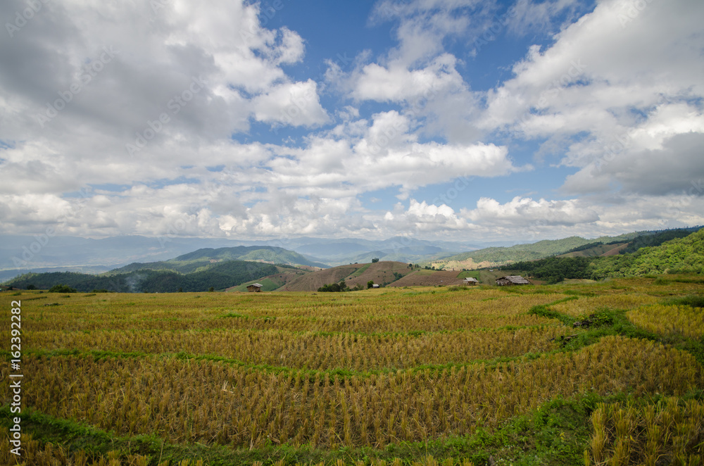 Pa Pong Piang Rice terraces, Mae Cham, Chiang Mai, Thailand. Pa Pong Piang Rice terraces, Mae Cham, Chiang Mai, Thailand.