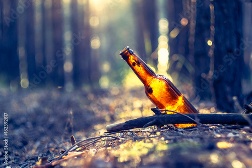 A beer bottle stands in a pine forest. Environmental pollution. Garbage in the forest. Destruction of nature.