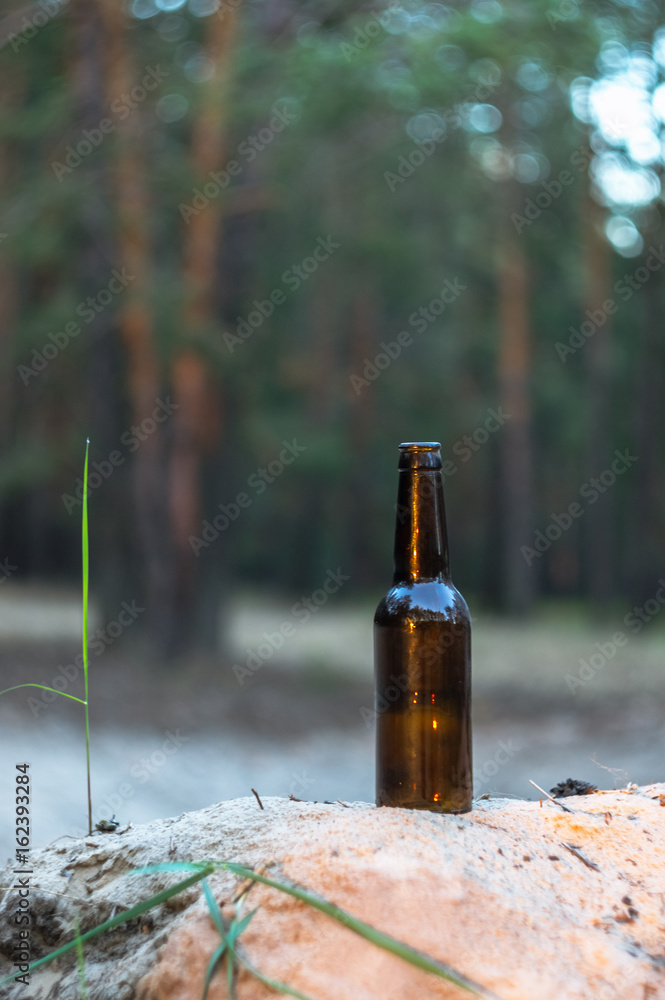 An old brown beer bottle on the sand in a pine forest. Pollution of the forest. An old brown beer bottle on the sand in a pine forest. Pollution of the forest.