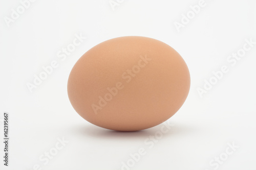 Huevo moreno sobre fondo blanco