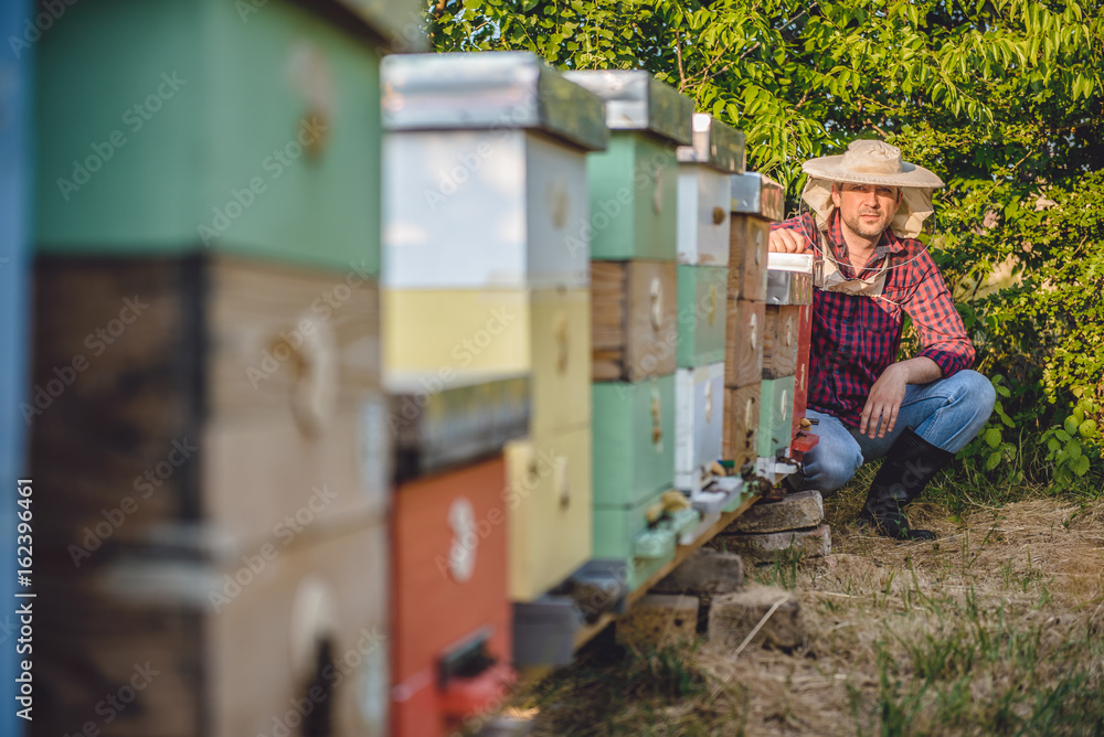 Beekeeper posing next to beehives Beekeeper posing next to beehives