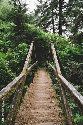 Northern California - Redwoods