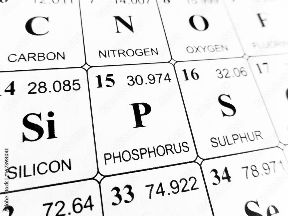phosphorus on the periodic table of the elements phosphorus on the periodic table of the elements