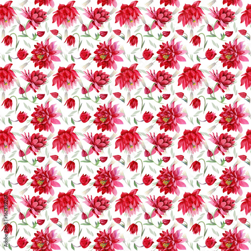 Wildflower Aquilegia flower pattern in a watercolor style isolated. Full name of the plant  Aquilegia. Aquarelle wild flower for background  texture  wrapper pattern  frame or border.