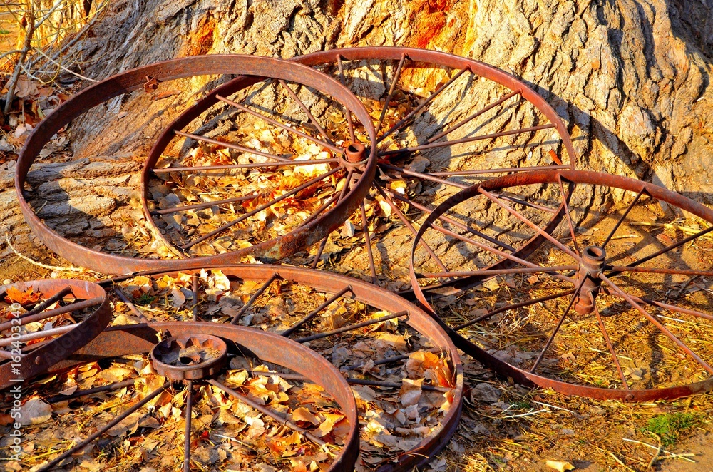 Fototapeta premium Old Rusted Wagon Wheels