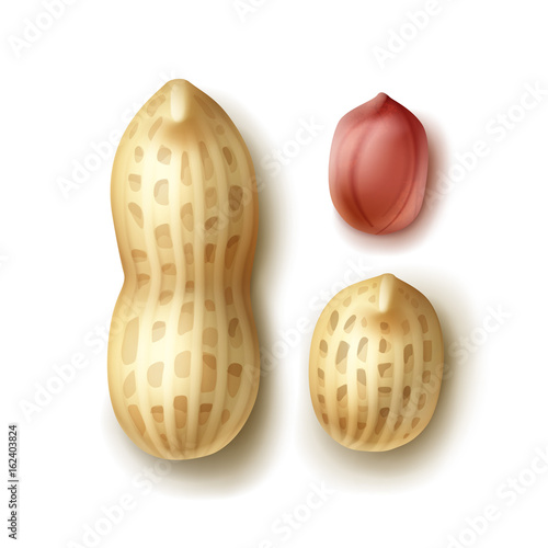 Set of peanuts