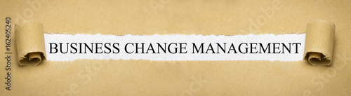 Business Change Management