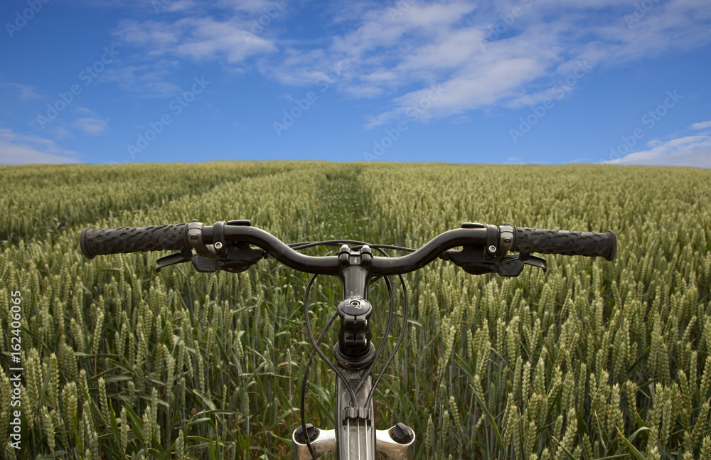 Bicycle In Field