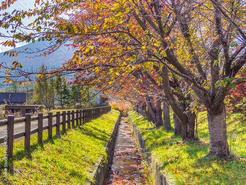 Beautiful landscape in autumn color season