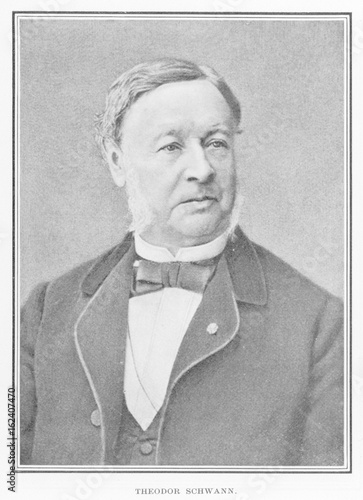 Theodor Schwann  German physiologist. Date: circa 1880