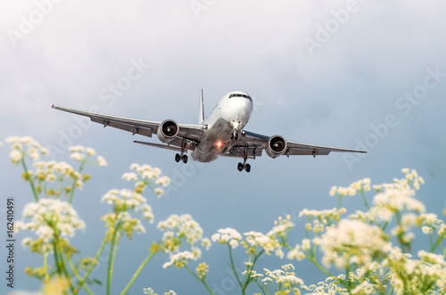Passenger commercial airplane flies over flower fields at the airport.