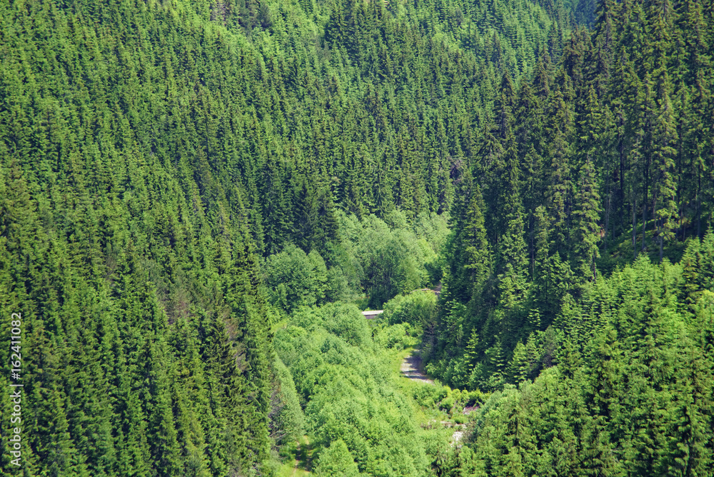 Obraz premium Romania Borsec Region